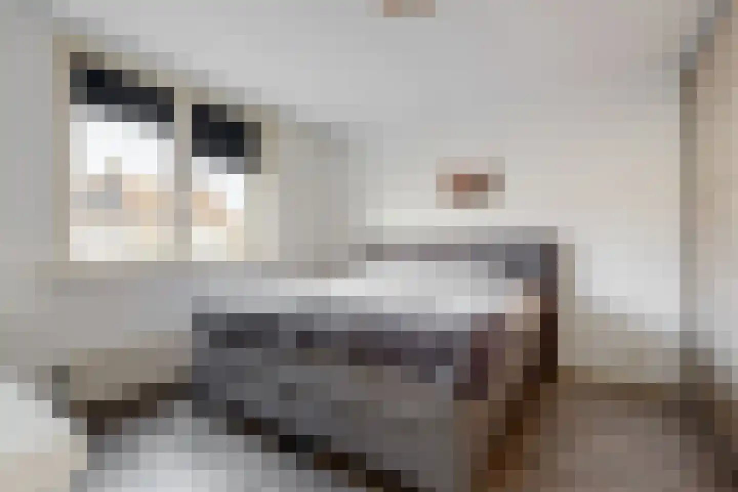 De Hagedisstraat 10 Velsen-Noord thumbnail 17