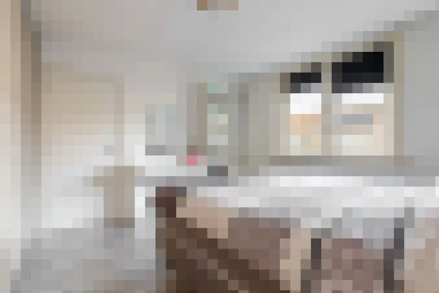 De Hagedisstraat 10 Velsen-Noord thumbnail 18