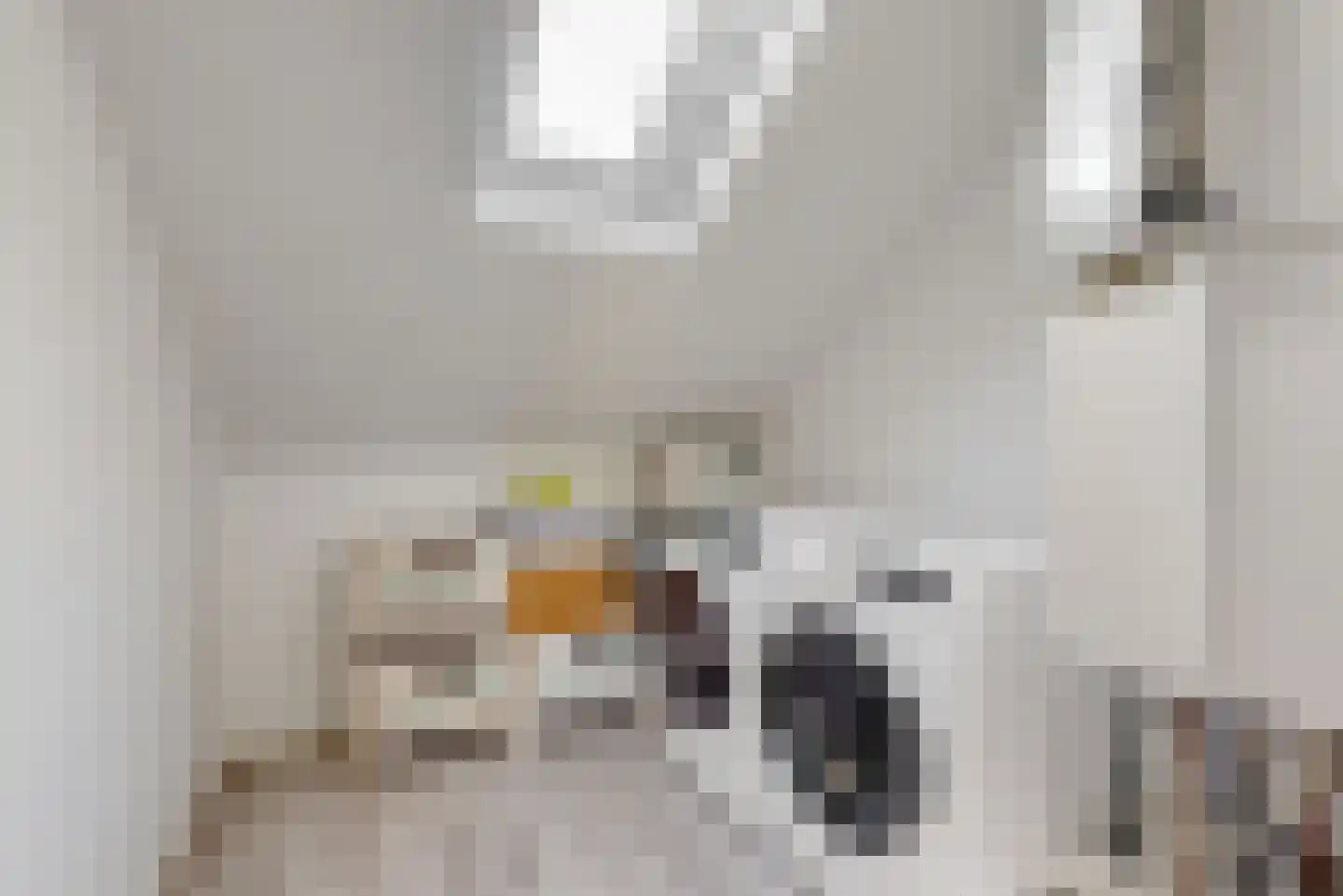 De Hagedisstraat 10 Velsen-Noord thumbnail 26