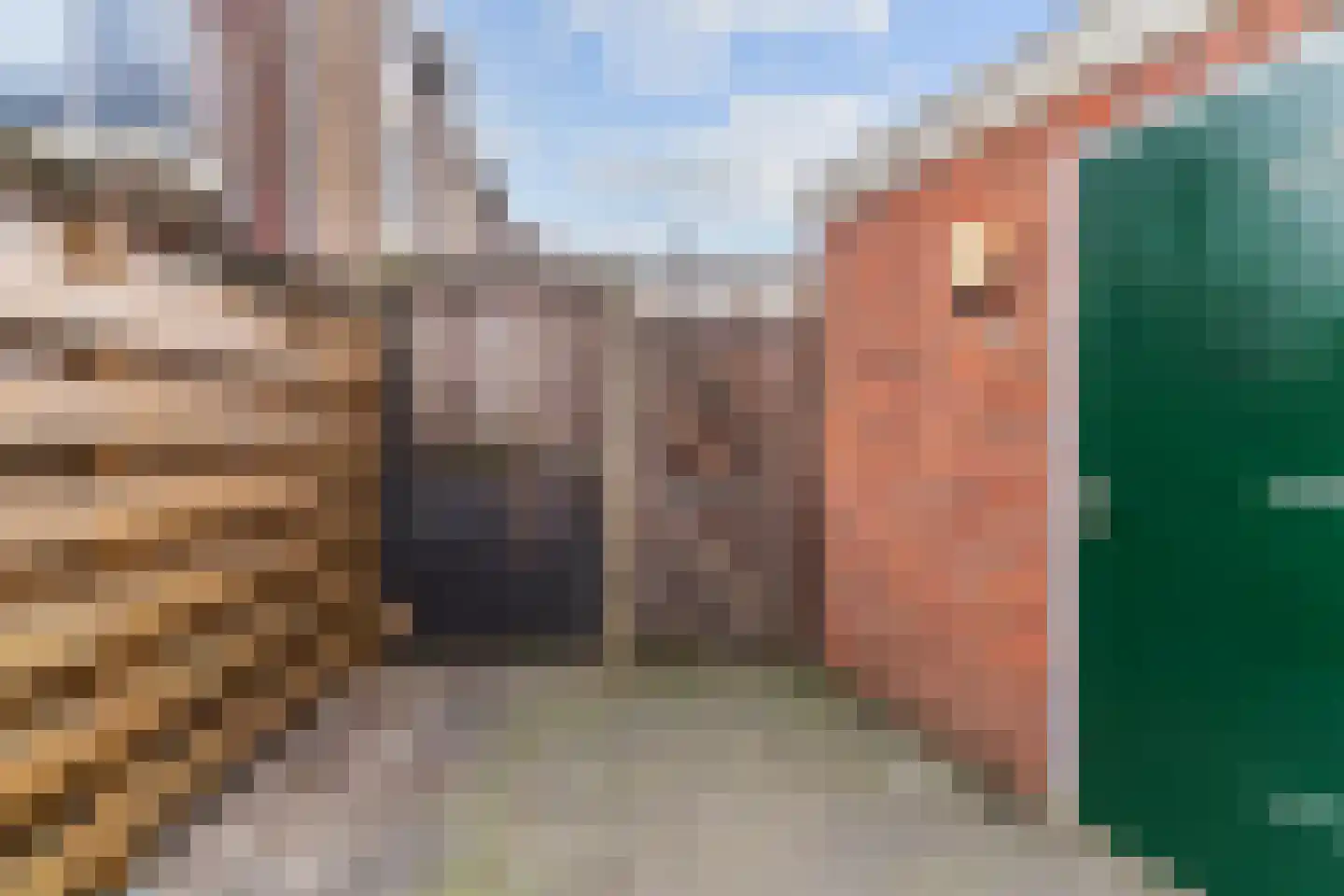 De Hagedisstraat 10 Velsen-Noord thumbnail 31