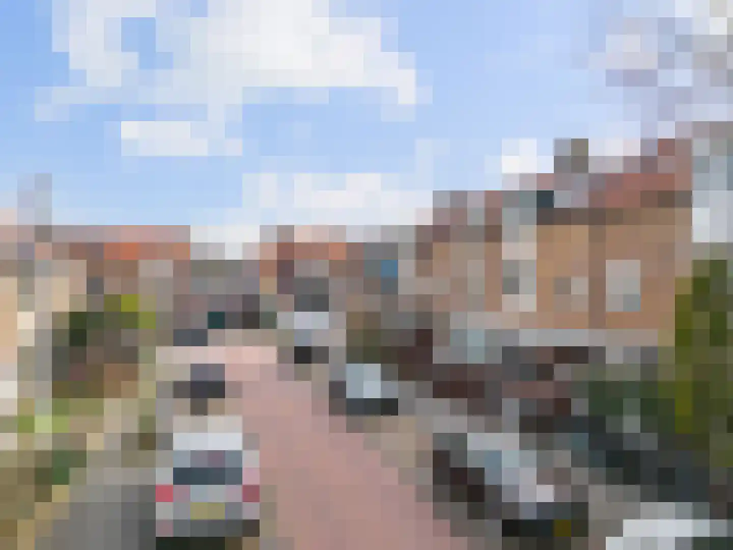 De Hagedisstraat 10 Velsen-Noord thumbnail 39