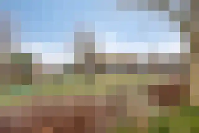 De Hagedisstraat 10 Velsen-Noord thumbnail 41