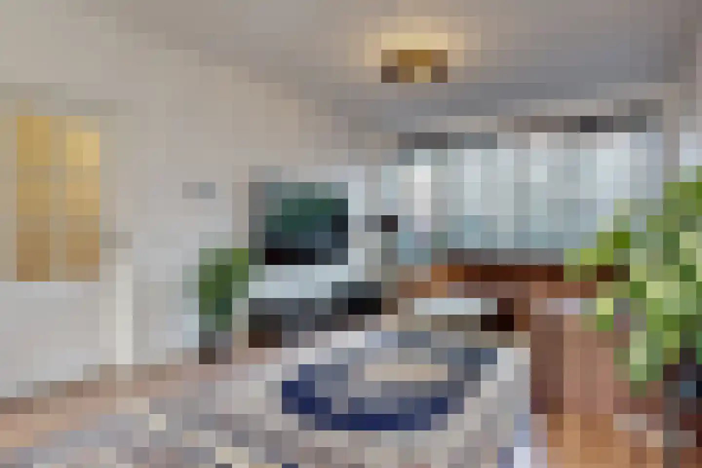 De Hagedisstraat 10 Velsen-Noord thumbnail 6
