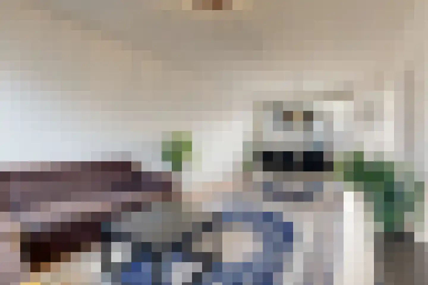 De Hagedisstraat 10 Velsen-Noord thumbnail 7