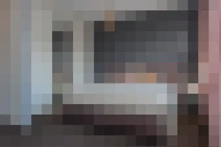 de Hagen 102 Oldebroek thumbnail 18