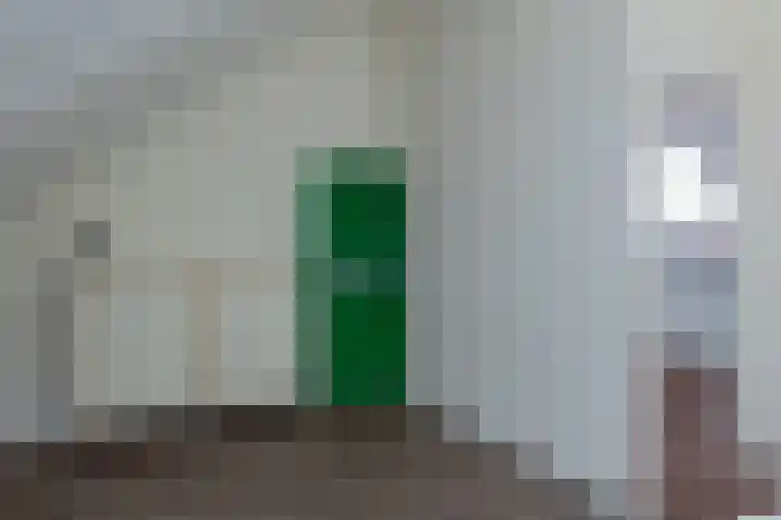 de Hagen 102 Oldebroek thumbnail 29