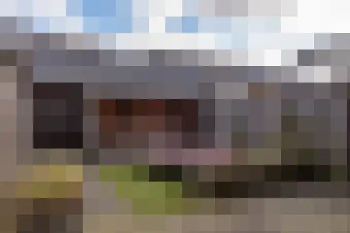 de Hagen 102 Oldebroek thumbnail 33