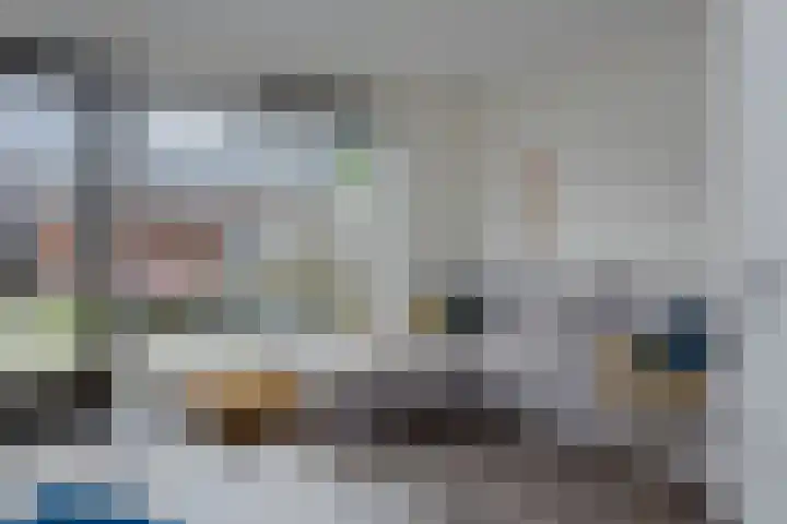 de Hagen 102 Oldebroek thumbnail 8