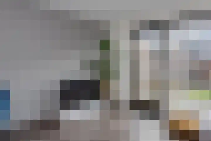de Hagen 102 Oldebroek thumbnail 9
