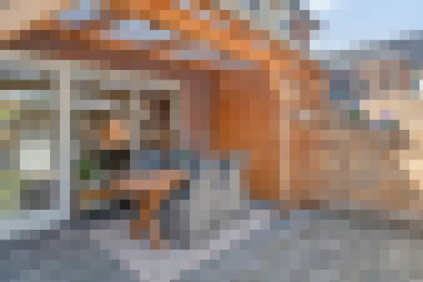 de Hagen 104 Oldebroek thumbnail 35