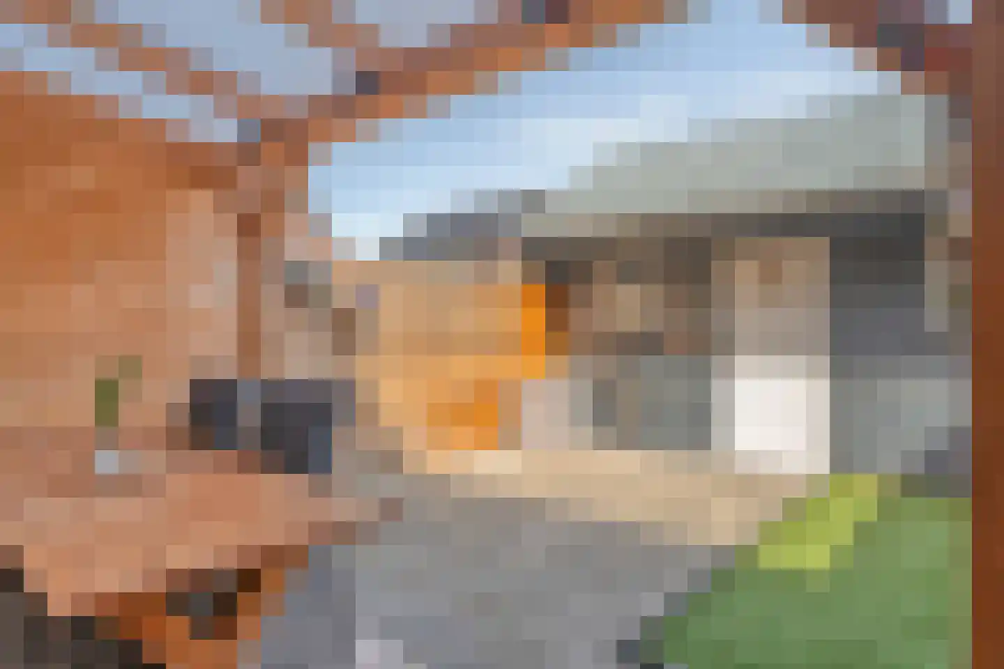 de Hagen 104 Oldebroek thumbnail 4