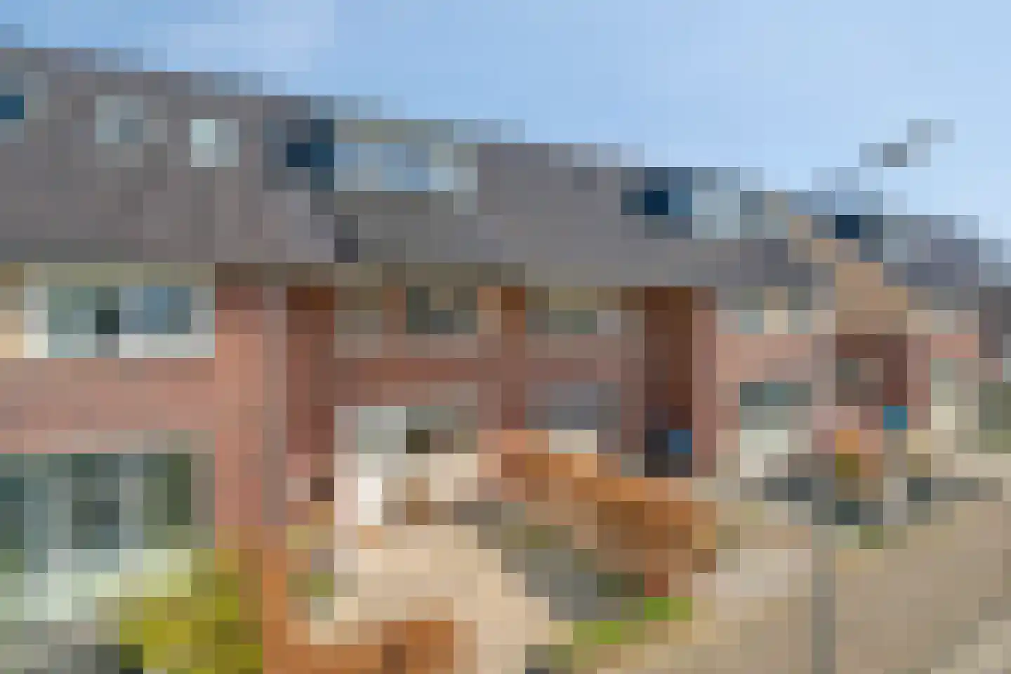de Hagen 104 Oldebroek thumbnail 6