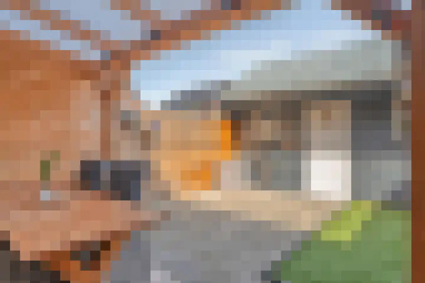 de Hagen 104 Oldebroek thumbnail 61