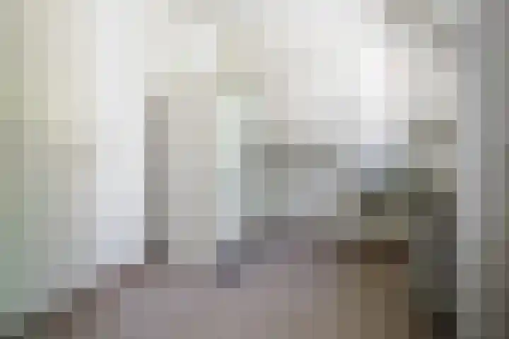 de Hagen 15 Saasveld thumbnail 18