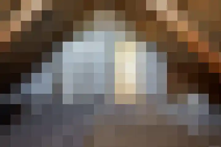 de Hagen 15 Saasveld thumbnail 28