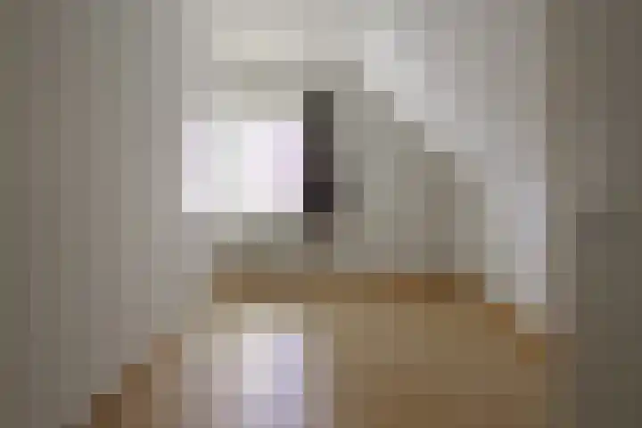 de Hagen 15 Saasveld thumbnail 31