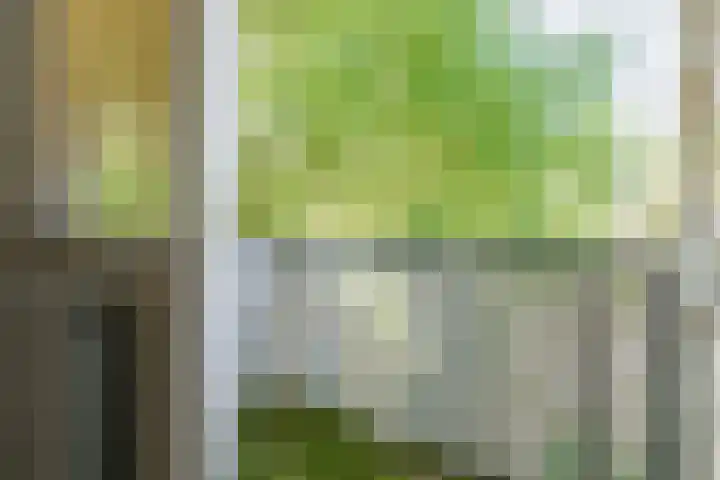 de Hagen 15 Saasveld thumbnail 37