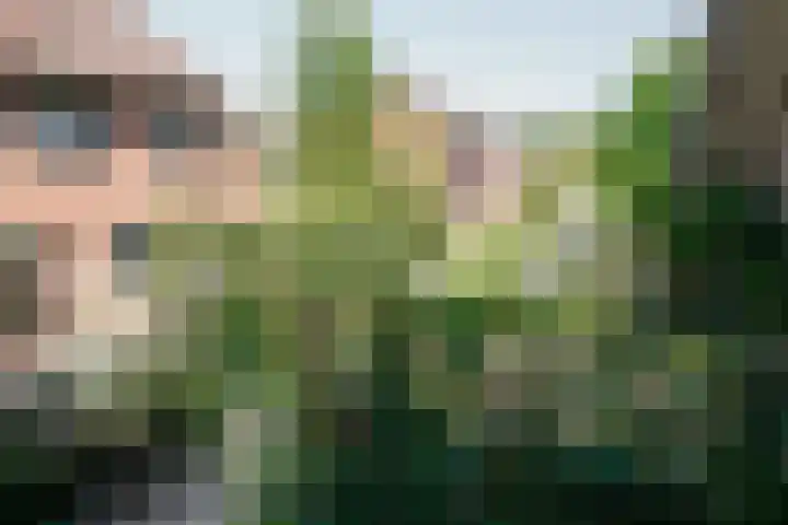 de Hagen 15 Saasveld thumbnail 38