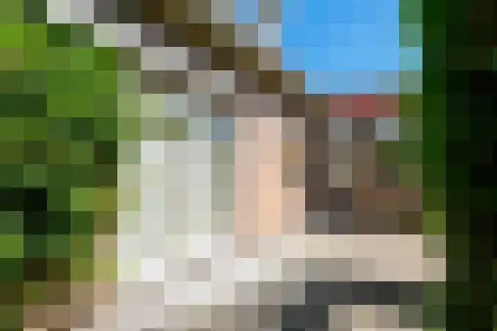 de Hagen 15 Saasveld thumbnail 39