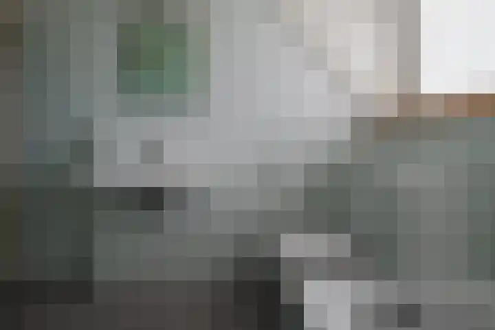 de Hagen 15 Saasveld thumbnail 4