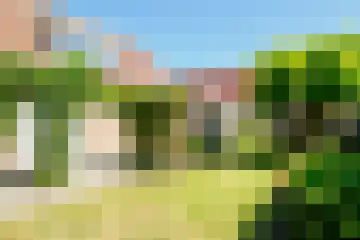de Hagen 15 Saasveld thumbnail 40