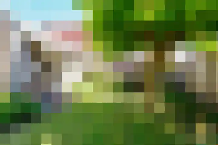 de Hagen 15 Saasveld thumbnail 41