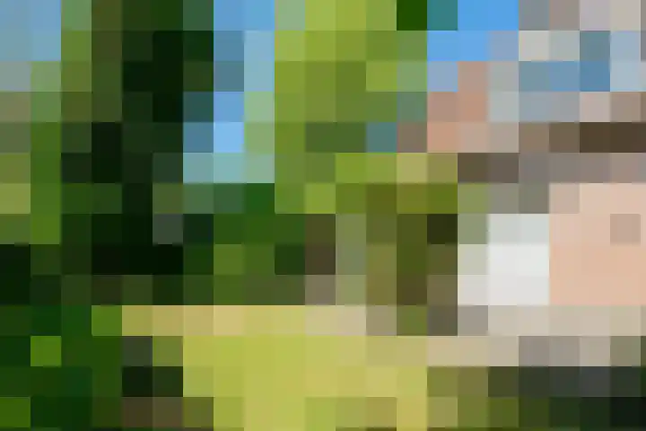 de Hagen 15 Saasveld thumbnail 42