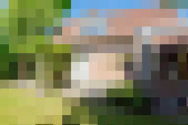 de Hagen 15 Saasveld thumbnail 43