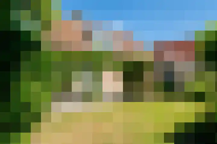 de Hagen 15 Saasveld thumbnail 44