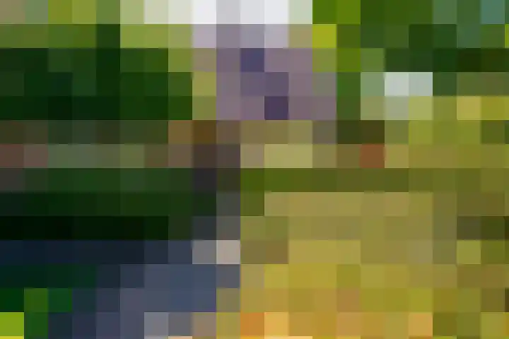 de Hagen 15 Saasveld thumbnail 48