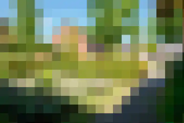 de Hagen 15 Saasveld thumbnail 49