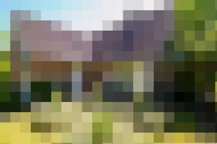 de Hagen 15 Saasveld thumbnail 5