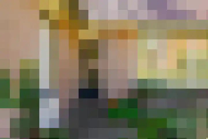 de Hagen 15 Saasveld thumbnail 6