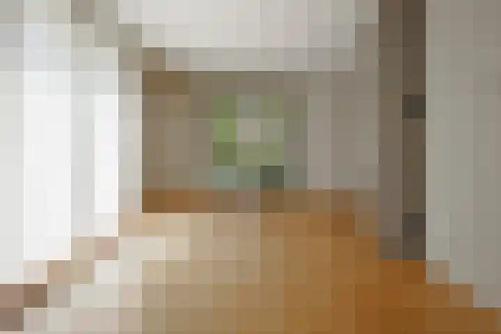 de Hagen 15 Saasveld thumbnail 9