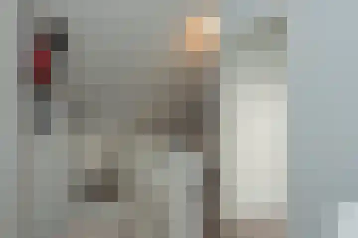 de Hagen 179 Oldebroek thumbnail 33