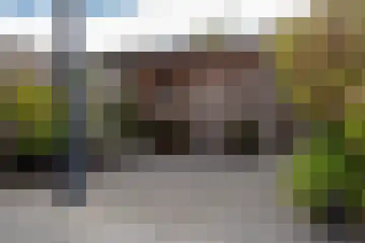 de Hagen 179 Oldebroek thumbnail 39