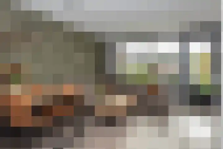 de Hagen 179 Oldebroek thumbnail 8