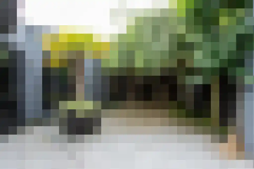 De Hagen 26 Albergen thumbnail 13