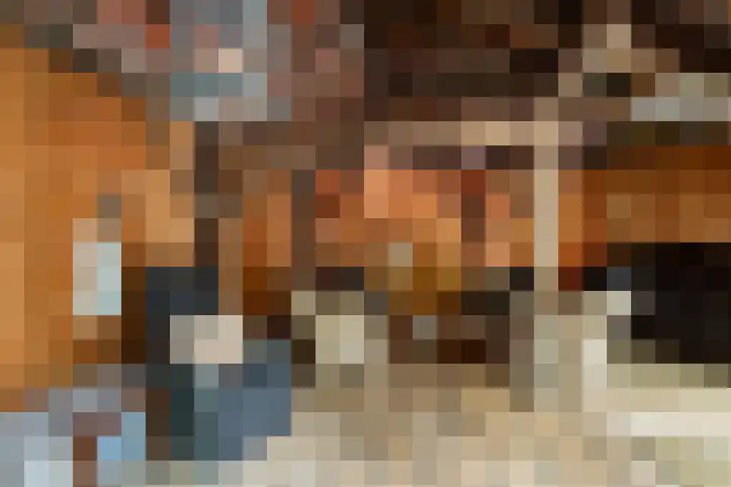 De Hagen 26 Albergen thumbnail 14