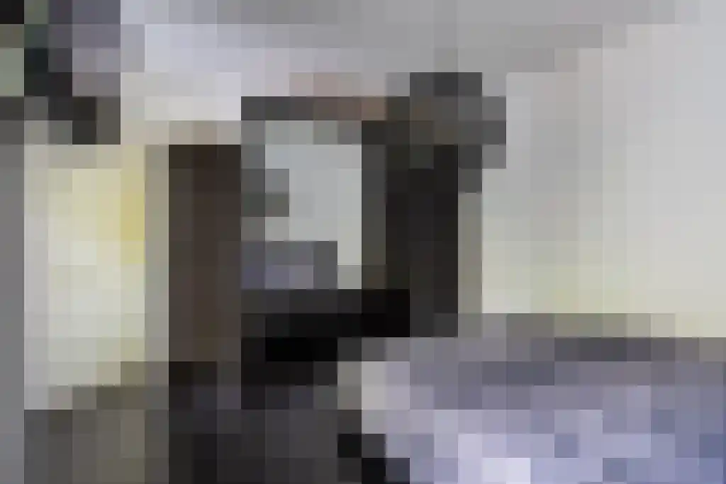 De Hagen 26 Albergen thumbnail 8