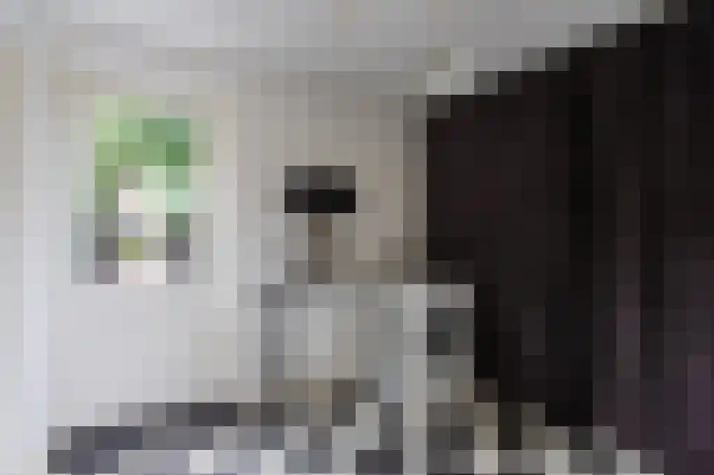 De Hagen 26 Albergen thumbnail 9