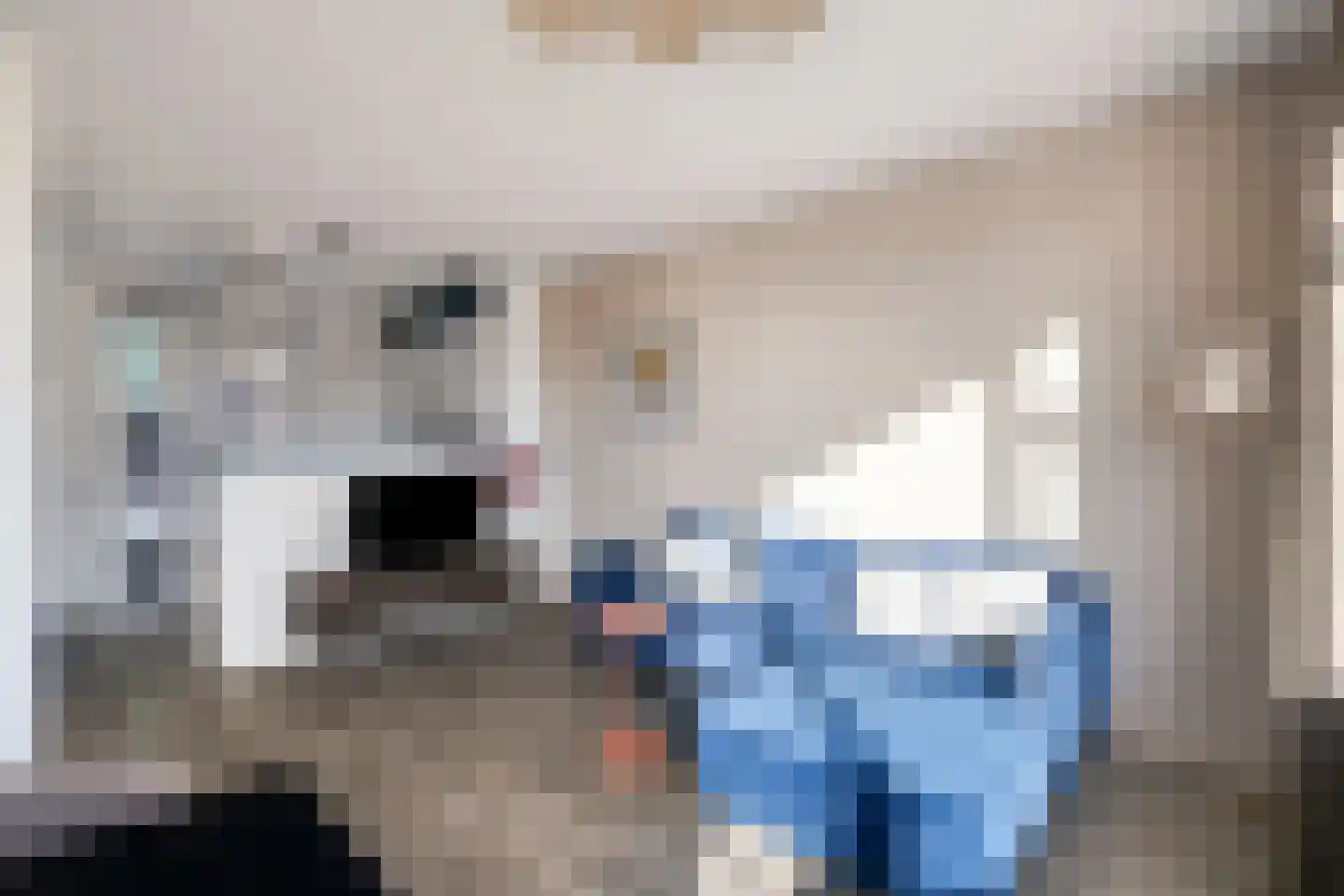de Hagen 8 Kampen thumbnail 13