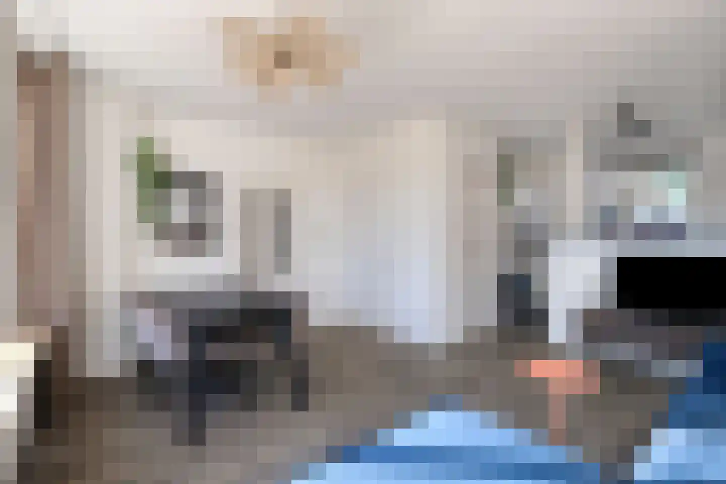 de Hagen 8 Kampen thumbnail 15