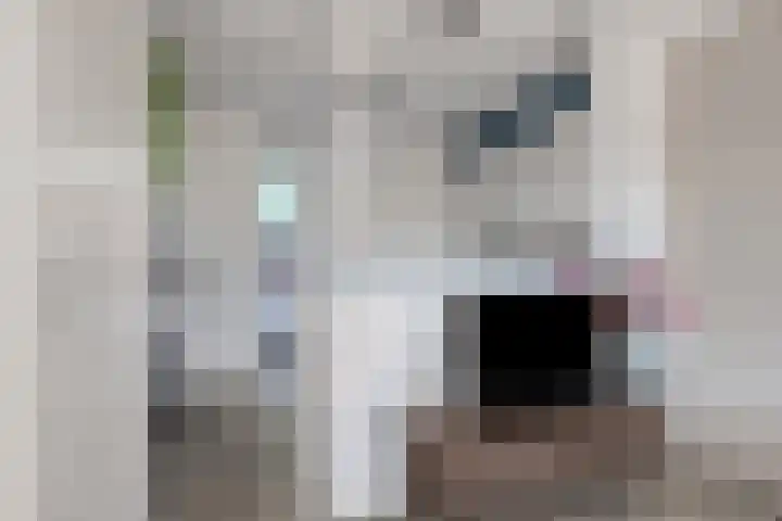 de Hagen 8 Kampen thumbnail 16