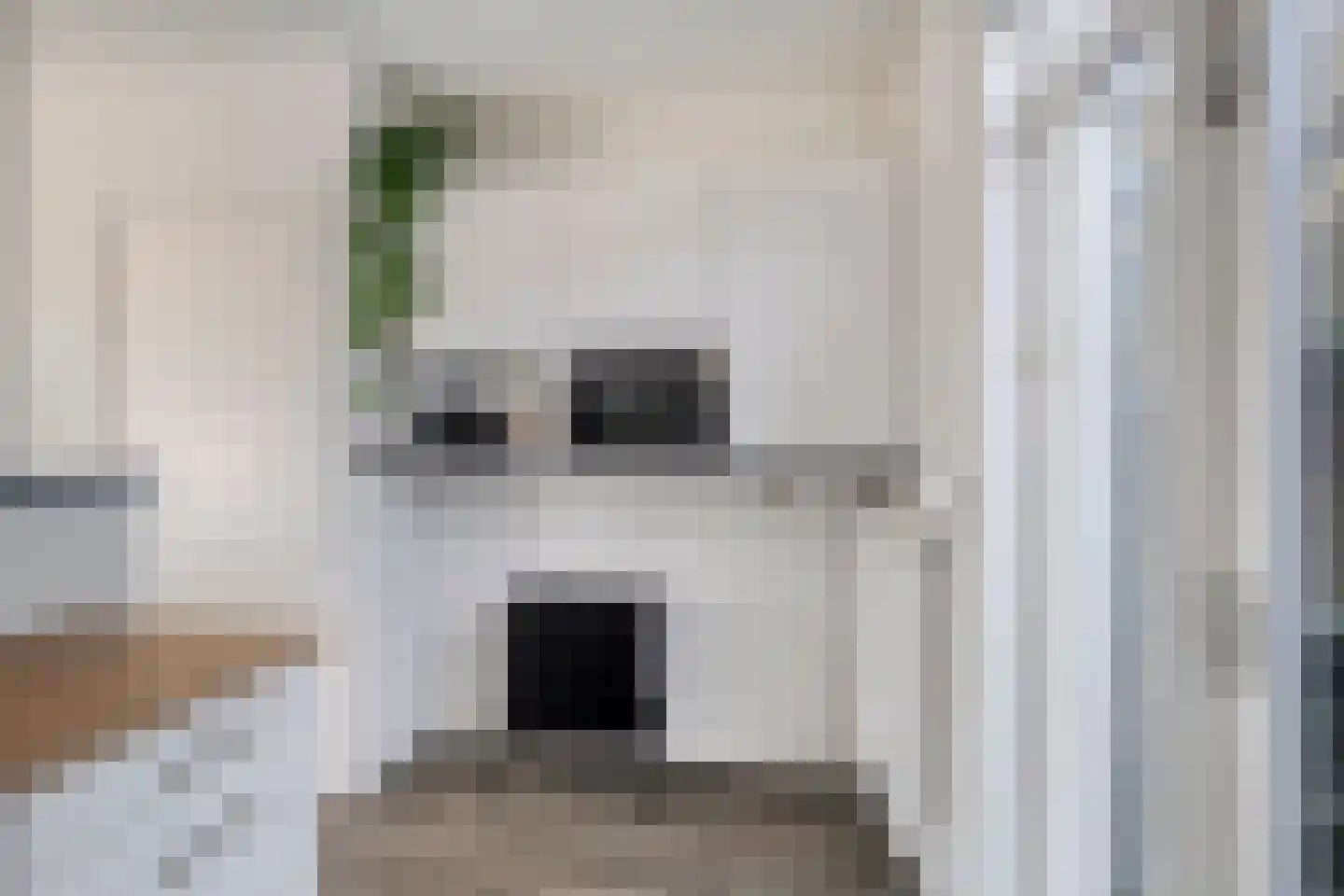 de Hagen 8 Kampen thumbnail 19
