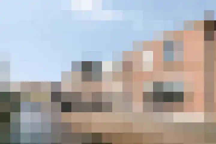 de Hagen 8 Kampen thumbnail 8