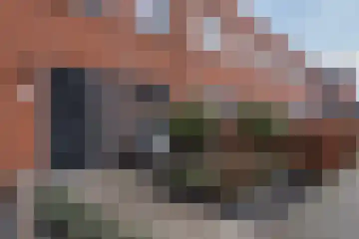 de Hagen 88 Oldebroek thumbnail 4