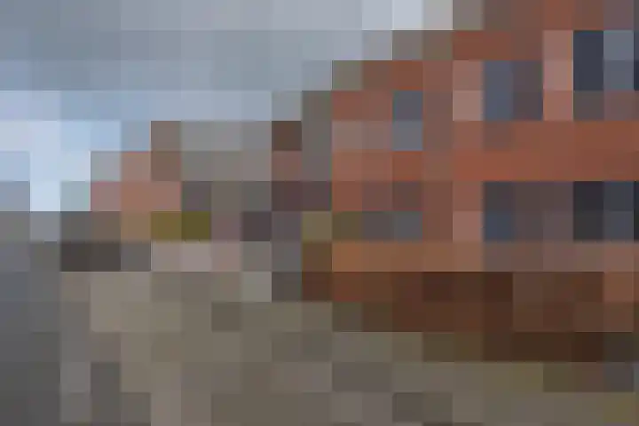 de Hagen 88 Oldebroek thumbnail 5