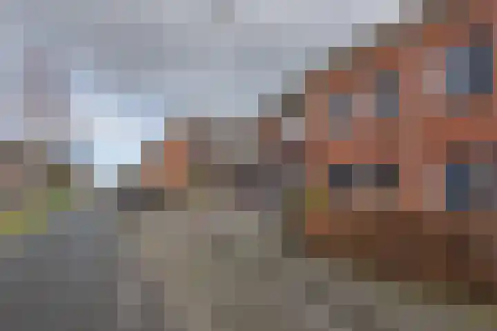 de Hagen 88 Oldebroek thumbnail 6