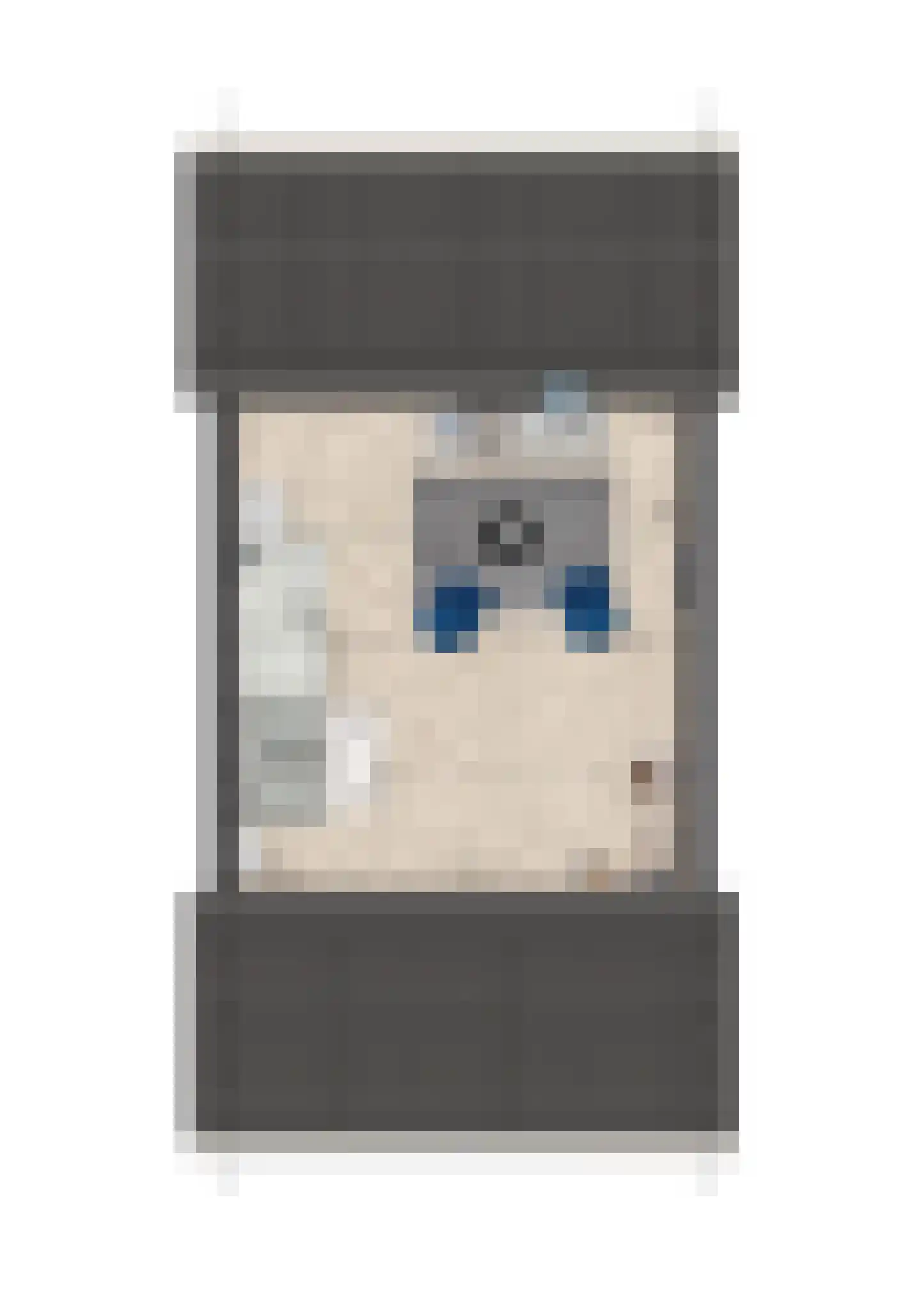 de Hagen 9 Oldebroek thumbnail 4